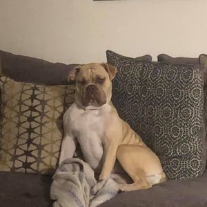 Meet your Posher, Lynne